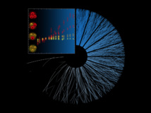 A medida que aumenta el número de partículas producidas en las colisiones de protones (las líneas azules), se mide el mayor número de los “hadrones extraños” (como se muestra en los gráficos naranja a rojo) (Imagen: ALICE / CERN)