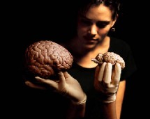 El cerebro humano puede anticiparse a los peligros