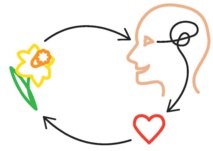 La belleza requiere pensamiento. Credit: Brielmann and Pelli La belleza requiere pensamiento. Credit: Brielmann and Pelli