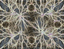 Imagen: Johnain Imagen: Johnain