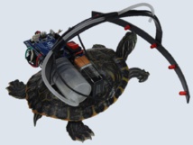 Imagen: KAIST Imagen: KAIST