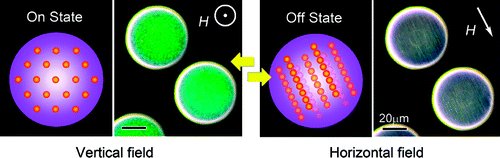 Journal of the American Chemical Society Journal of the American Chemical Society