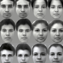 Pares de imágenes de caras, originales (izquierda) y recreadas (a la derecha de cada cara). Cell.