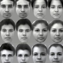 Pares de imágenes de caras, originales (izquierda) y recreadas (a la derecha de cada cara). Cell. Pares de imágenes de caras, originales (izquierda) y recreadas (a la derecha de cada cara). Cell.