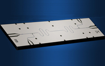 Foto: Universidad de Yale