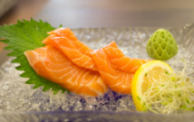 Foto: Stratman Foto: Stratman