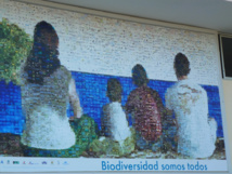 Biodiversidad Somos Todos. Mural en Puerto Villamil. Isla Isabela. Foto:Patrice Clark Biodiversidad Somos Todos. Mural en Puerto Villamil. Isla Isabela. Foto:Patrice Clark