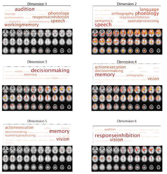 Visualización de la actividad cerebral asociada a conceptos mentales. Foto: autores