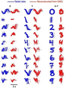 Crean un software que reconoce la escritura a partir de señales nerviosas