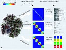 Foto: Marta Sales-Pardo, Roger Guimerà, André A. Moreira, y Luís A. Nunes Amaral