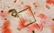 La adición de óxido de cerio al cristal de fosfato podría tener importantes aplicaciones en el campo de la óptica y otras especialidades. Imagen: Ignacio Diez en flickr.com.