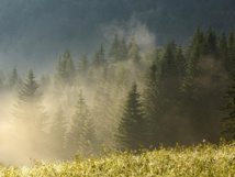 Foto: EPFL Foto: EPFL