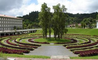 Laberinto cromovegetal de Carlos Cruz-Diez. Venezuela. Laberinto cromovegetal de Carlos Cruz-Diez. Venezuela.