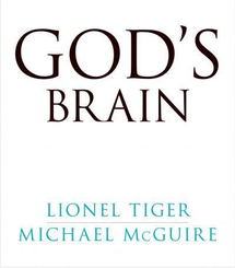 El cerebro es el creador y beneficiario de la religiosidad