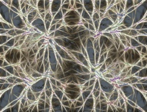 Imagen: johnhain. Fuente: Pixabay. Imagen: johnhain. Fuente: Pixabay.