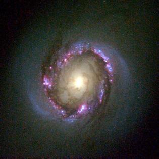 Anillo nuclear de NGC4314. SINC