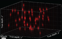 Holograma con 50 neuronas seleccionadas distribuidas al azar, que abarcan una región cerebral de 500 micras cuadrados y 250 micras de profundidad. Universidad de Berkeley.