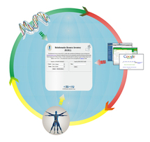 BIRI permite el descubrimiento y clasificación automática de recursos bioinformáticos a partir de artículos científicos. Gráfico: FIUPM.