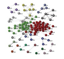 Cada nudo pertenece a una de las 15 comunidades que están marcadas con diferentes colores y números. La mayoría de las comunidades pueden estar asociadas a un dominio funcional. Foto: Roberta Sinatra, et ál.