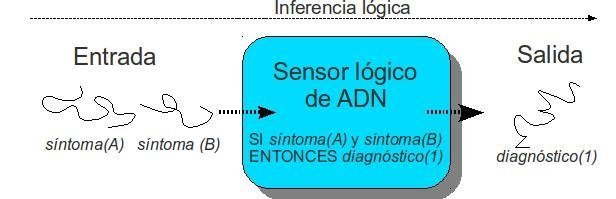 Sistema de funcionamiento del dispositivo. Fuente: FIUPM
