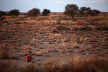 El desierto de Kalahari, en la provincia sudafricana de Cabo del Norte, albergaría al mayor parque solar del mundo. Imagen: Physorg.com