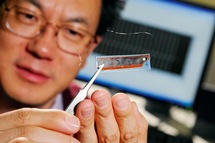 El profesor Zhong Lin Wang muestra una versión anterior de la nanogeneradores desarrollados utilizando nanocables de óxido de zinc. Imagen: Gary Meek / Georgia Tech.