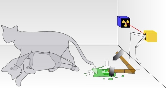 El gato de Schrödinger, vivo y muerto a la vez. Imagen: Dhatfield. Wikipedia.