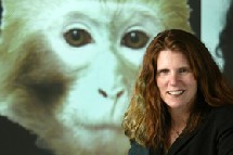 Brannon en su investigación con monos