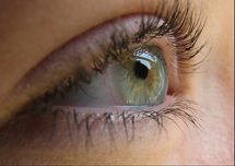 Los investigadores analizaron la dilatación de la pupila. Fuente: Universidad de Chicago.