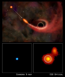 Arriba: Representación artística de un agujero negro supermasivo absorbiendo materia de una estrella cercana. Abajo: imágenes de un supuesto agujero negro supermasivo devorando una estrella. Fuente: Wikimedia Commons.