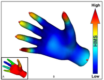 El gráfico ilustra la tecnología de visión por ordenador, basada en la física y ecuaciones matemáticas relacionadas con la difusión del calor sobre superficies. Imagen: Karthik Ramani y Yi Fang. Fuente: Universidad de Purdue.