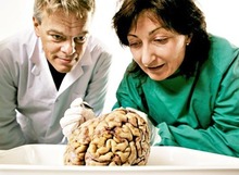 Los profesores Edvard y May-Britt Moser, directores del CBM. Foto: NTNU Info. Los profesores Edvard y May-Britt Moser, directores del CBM. Foto: NTNU Info.