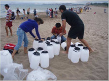 Los investigadores analizan los virus en las aguas de la playa. Imagen: UB.