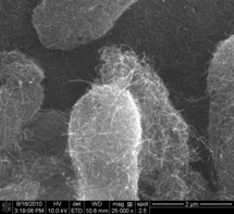Estos nanotubos son más precisos que los sistemas convencionales. Fuente: Universidad de Viena.