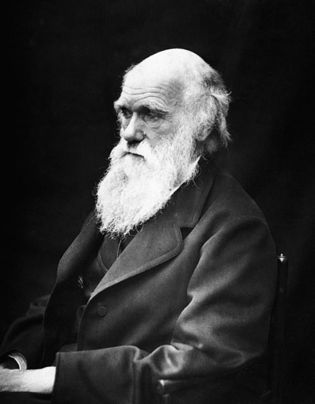 Charles Darwin. Fuente: Wikimedia Commons.