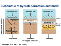 Esquema de formación y localización de los hidratos de gas en los sedimentos submarinos. Imagen: Rice University.