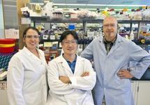 De izquierda a derecha: Pamela Peralta-Yahya, Taek Soon Lee y Mario Ouellet, tres de los investigadores del JBEI responsables del avance. Fuente: Roy Kaltschmidt, Berkeley Lab.