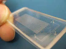 Diminutos chips de microfluidos han permitido a los investigadores sincronizar la fluorescencia de las bacterias. Fuente: UC San Diego.