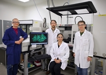 De izquierda a derecha: Andy DeGiovanni, Paul Adams, Pamela Peralta-Yahya y Ryan McAndrew, miembros del equipo de especialistas del JBEI que concretó este avance. Fuente: Roy Kaltschmidt / Berkeley Lab.