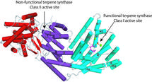 Los investigadores determinaron la estructura de la enzima AgBIS, que consta de tres dominios helicoidales. Este descubrimiento tiene importancia para los biocombustibles avanzados y otras aplicaciones. Fuente: DOE / Lawrence Berkeley National Laboratory.