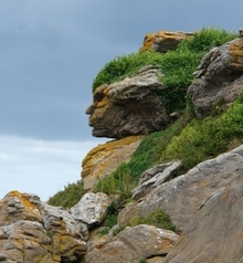 Algunos objetos, como esta formación rocosa de Ebihens, Francia, se parecen mucho a las caras humanas. A pesar del parecido, el cerebro humano sabe distinguir un rostro real de lo que no lo es, gracias a un proceso neuronal en el que están implicados los dos hemisferios cerebrales. Fuente: MIT. Algunos objetos, como esta formación rocosa de Ebihens, Francia, se parecen mucho a las caras humanas. A pesar del parecido, el cerebro humano sabe distinguir un rostro real de lo que no lo es, gracias a un proceso neuronal en el que están implicados los dos hemisferios cerebrales. Fuente: MIT.