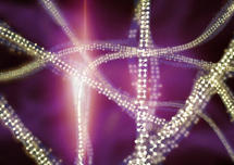 Cadenas de datos codificadas en grupos de qubits. Foto: Equinox Graphics.