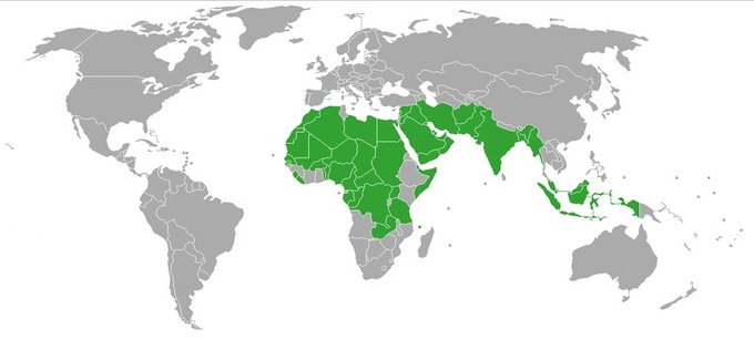 Países donde se acepta la poligamia masculina. Fuente: Wikimedia Commons.