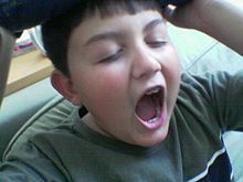 Fuente: Wikimedia Commons. Fuente: Wikimedia Commons.