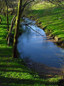 Río Sar, en Galicia. Fuente: Wikimedia Commons. Río Sar, en Galicia. Fuente: Wikimedia Commons.