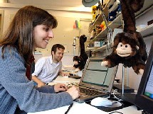 Los monos en acción. Foto: Donna Coveney. MIT.