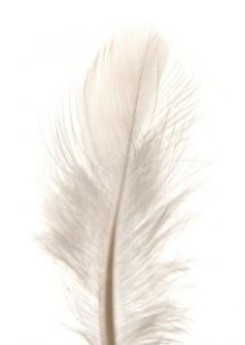 Imagen: brokenarts. Fuente: Everystockphoto. Imagen: brokenarts. Fuente: Everystockphoto.