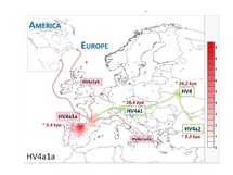 Mapa del proceso de diseminación de los individuos portadores del linaje HV4a1a. Imagen: USC
