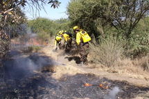 Brigadistas sofocando un incendio forestal. Fuente: Wikimedia Commons.