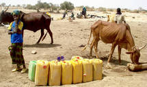 Pobreza crónica en el Sahel. Foto: FAO